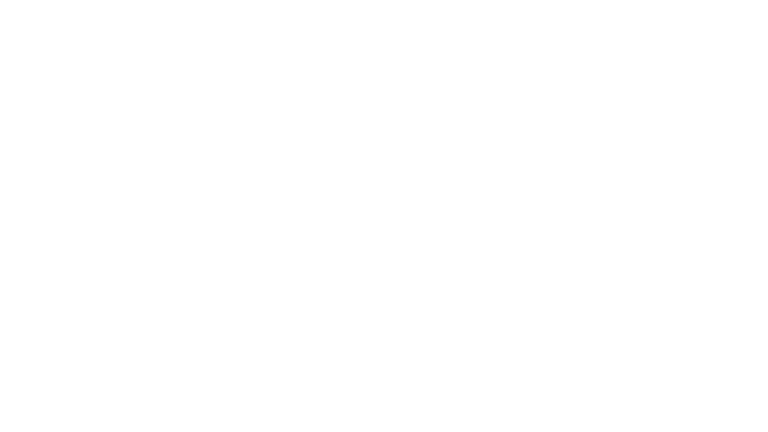 carrera